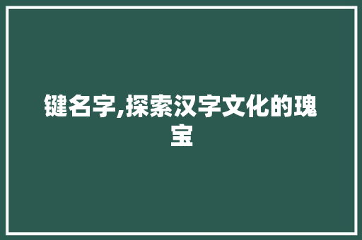 键名字,探索汉字文化的瑰宝