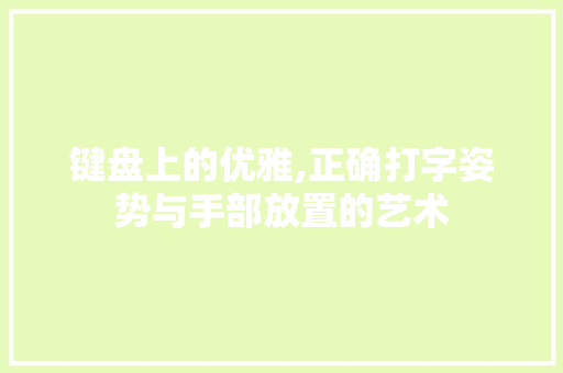 键盘上的优雅,正确打字姿势与手部放置的艺术
