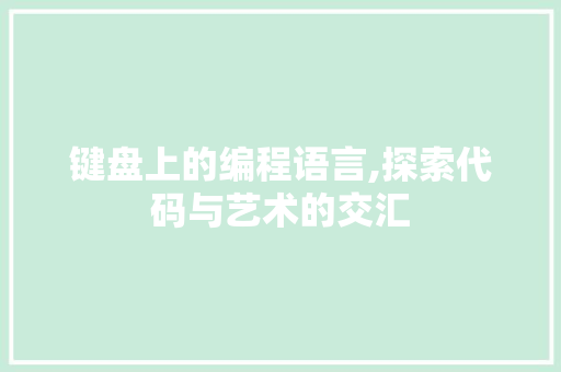 键盘上的编程语言,探索代码与艺术的交汇