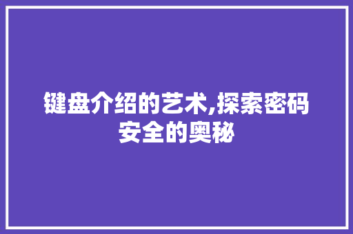 键盘介绍的艺术,探索密码安全的奥秘