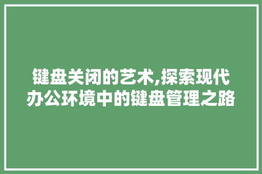键盘关闭的艺术,探索现代办公环境中的键盘管理之路