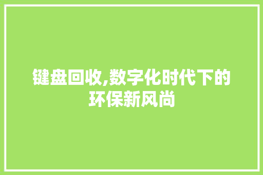 键盘回收,数字化时代下的环保新风尚 Web前端