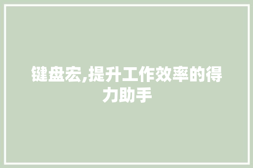 键盘宏,提升工作效率的得力助手
