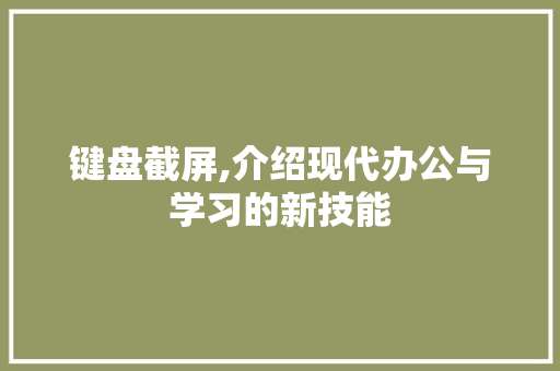 键盘截屏,介绍现代办公与学习的新技能