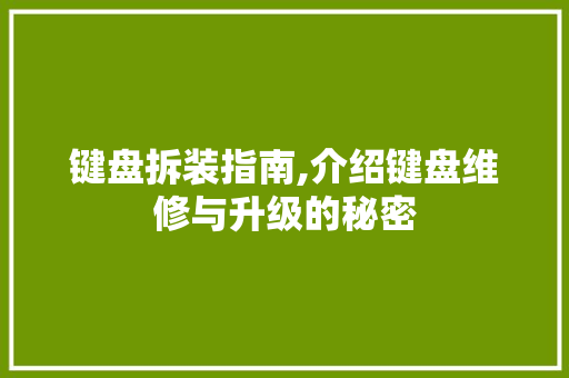 键盘拆装指南,介绍键盘维修与升级的秘密