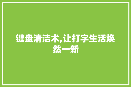 键盘清洁术,让打字生活焕然一新