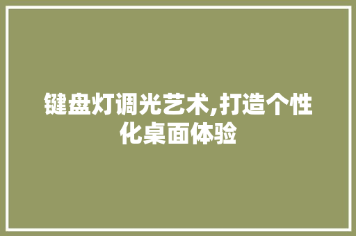 键盘灯调光艺术,打造个性化桌面体验