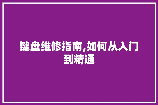 键盘维修指南,如何从入门到精通
