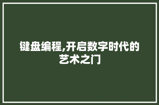 键盘编程,开启数字时代的艺术之门
