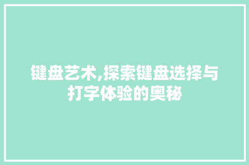 键盘艺术,探索键盘选择与打字体验的奥秘