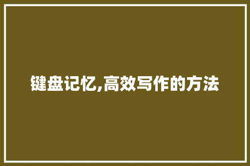 键盘记忆,高效写作的方法