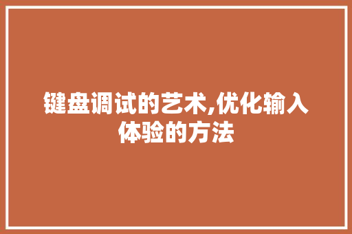 键盘调试的艺术,优化输入体验的方法