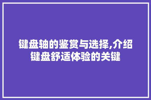 键盘轴的鉴赏与选择,介绍键盘舒适体验的关键
