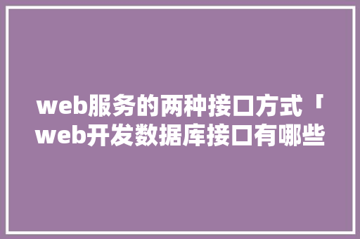 web服务的两种接口方式「web开发数据库接口有哪些」 SEO教程