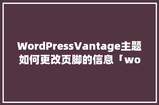 WordPressVantage主题如何更改页脚的信息「worldpress 主题」