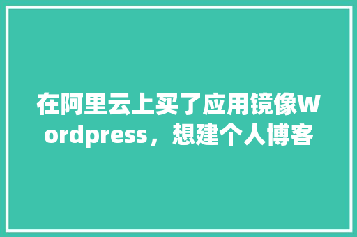在阿里云上买了应用镜像Wordpress，想建个人博客，还要在阿里云上买域名和服务器吗「wordpress博客底部美化」