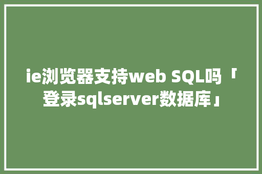 ie浏览器支持web SQL吗「登录sqlserver数据库」