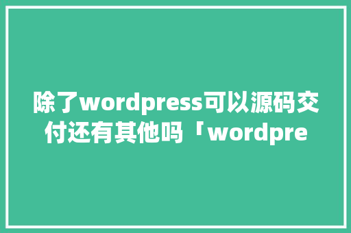 除了wordpress可以源码交付还有其他吗「wordpress 源码」