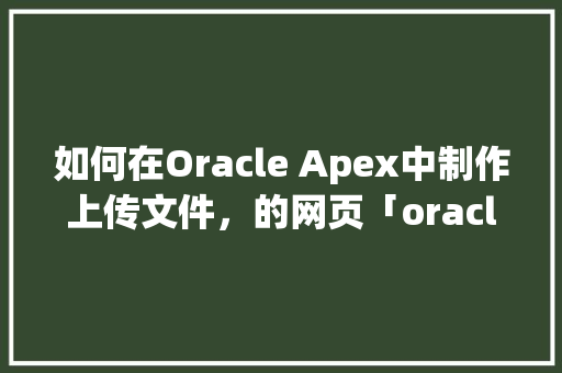 如何在Oracle Apex中制作上传文件，的网页「oracle web」