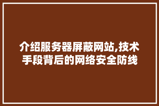 介绍服务器屏蔽网站,技术手段背后的网络安全防线