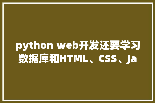python web开发还要学习数据库和HTML、CSS、JavaScrip吗「开发web数据库应用程序一般包括三层」