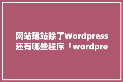 网站建站除了Wordpress还有哪些程序「wordpress教程 全套」