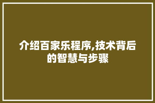 介绍百家乐程序,技术背后的智慧与步骤