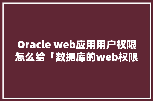 Oracle web应用用户权限怎么给「数据库的web权限控制是什么」