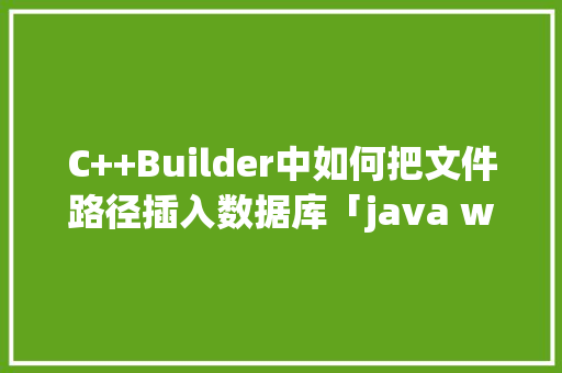 C++Builder中如何把文件路径插入数据库「java web 数据库」