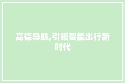 高德导航,引领智能出行新时代 Web前端