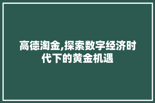 高德淘金,探索数字经济时代下的黄金机遇
