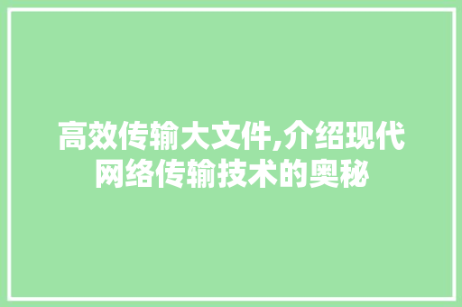 高效传输大文件,介绍现代网络传输技术的奥秘 友链在线