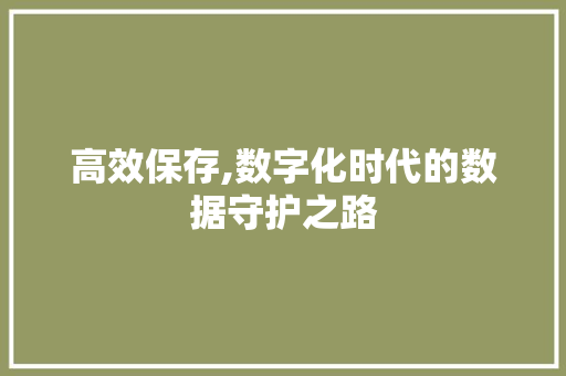 高效保存,数字化时代的数据守护之路