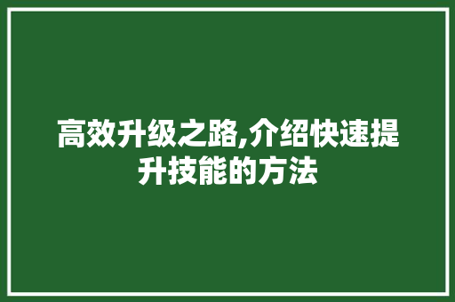 高效升级之路,介绍快速提升技能的方法
