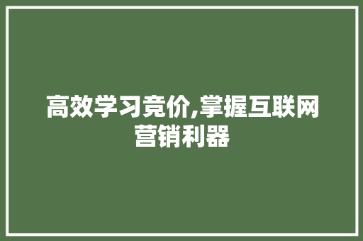 高效学习竞价,掌握互联网营销利器 Web前端