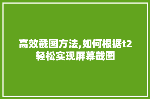 高效截图方法,如何根据t2轻松实现屏幕截图
