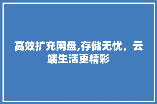 高效扩充网盘,存储无忧，云端生活更精彩 建站教程