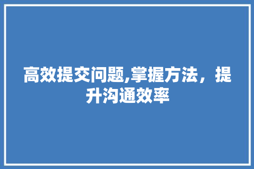 高效提交问题,掌握方法，提升沟通效率