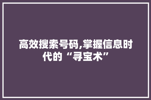 高效搜索号码,掌握信息时代的“寻宝术”