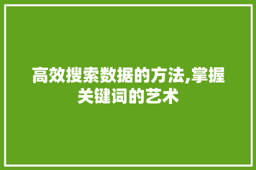 高效搜索数据的方法,掌握关键词的艺术