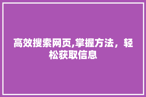 高效搜索网页,掌握方法，轻松获取信息