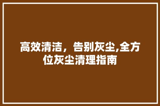 高效清洁，告别灰尘,全方位灰尘清理指南 Web前端