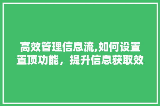 高效管理信息流,如何设置置顶功能，提升信息获取效率