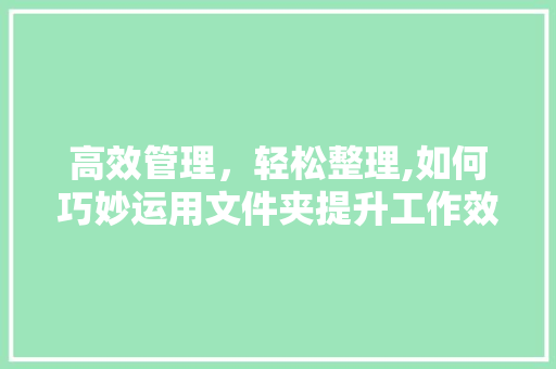 高效管理，轻松整理,如何巧妙运用文件夹提升工作效率