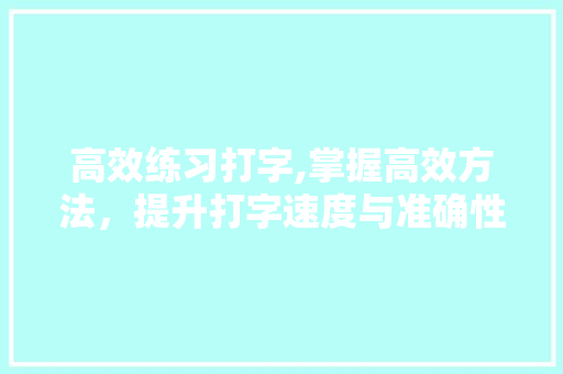 高效练习打字,掌握高效方法，提升打字速度与准确性