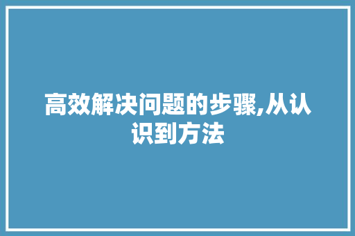 高效解决问题的步骤,从认识到方法 建站教程