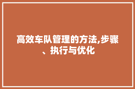 高效车队管理的方法,步骤、执行与优化