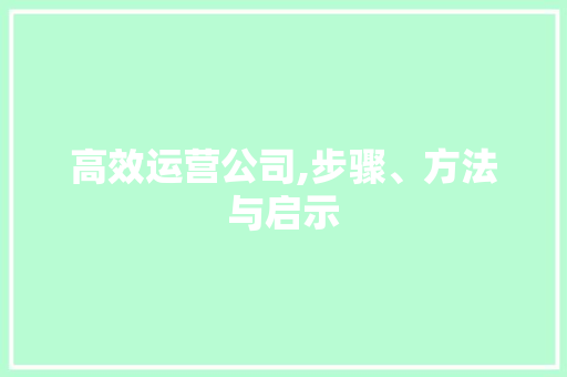 高效运营公司,步骤、方法与启示
