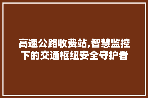 高速公路收费站,智慧监控下的交通枢纽安全守护者