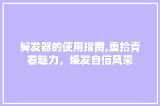鬓发器的使用指南,重拾青春魅力，焕发自信风采